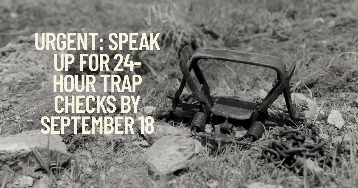 TAKE ACTION: A Daily Trap Check Is Basic Decency