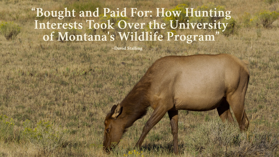 The Growing Influence of the Trophy Hunting Industry