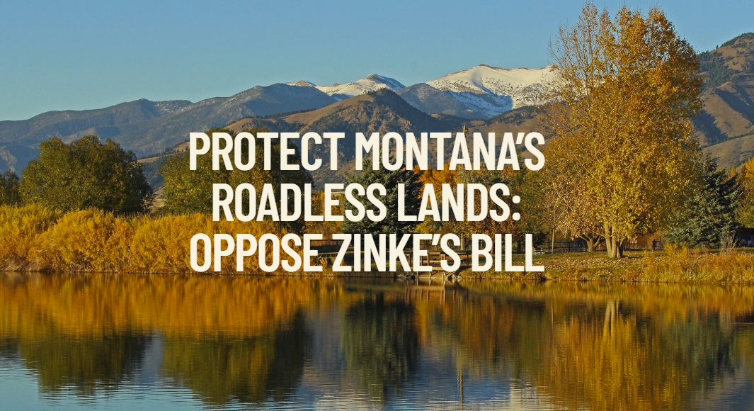 Protect Montana’s roadless lands: Oppose Zinke’s bill
