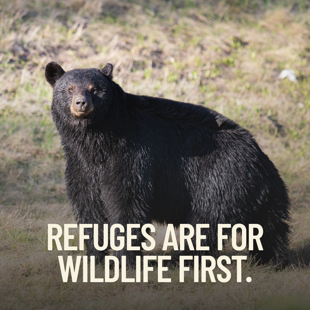 Correction! Take Action Before JUNE 26!