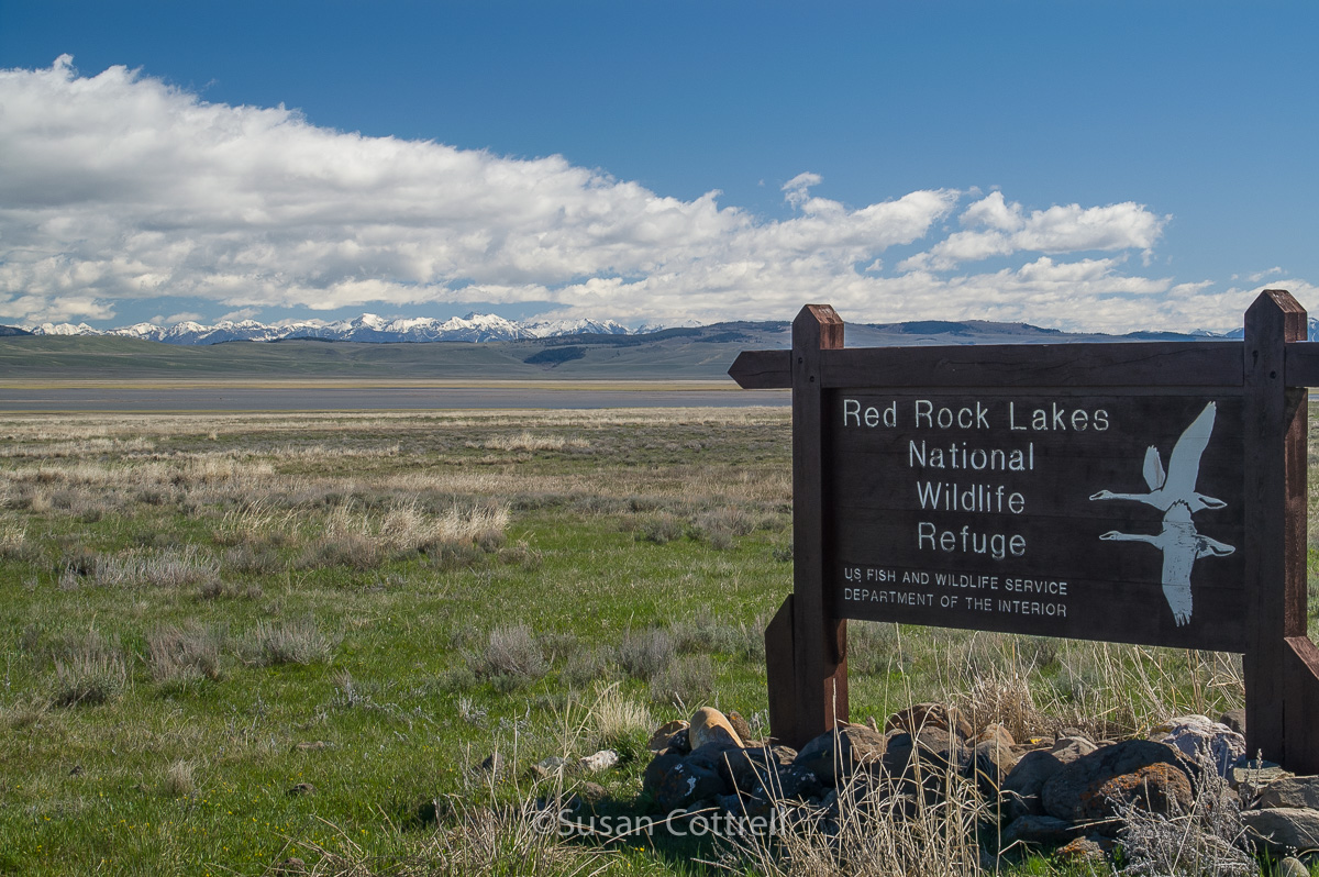 Take Action: Protect National Wildlife Refuges